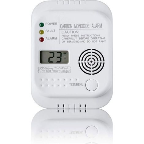 Détecteur de monoxyde de Carbone, alimenté par Batterie, Detecteur de gaz avec Affichage et indicateur de température (1/4)