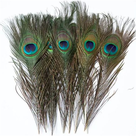 20 plumes de paon naturelles, véritables plumes de queue de paon, 25-30 cm, décorations en plumes (1/5)