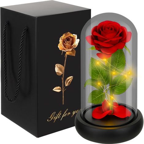 Rose im Glas - leuchtendes Ruhhy 25682