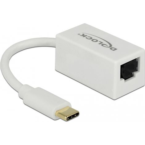 Delock Adaptador SuperSpeed USB (USB 3.1 Gen 1) con USB Type-Câ¢ macho  Gigabit LAN 10/100/1000 Mbps RJ45 blanco
