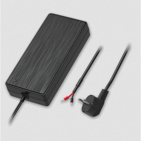 Teltonika Networks EU 2-Pin-Netzteil, 250 W, PR320EUA