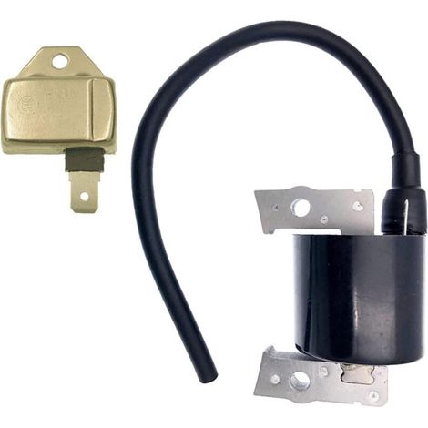 Zündspule für Homelite 35cc, 38cc, 42cc - Modelle UT-10540, UT-10560, UT-10580 (1/4)