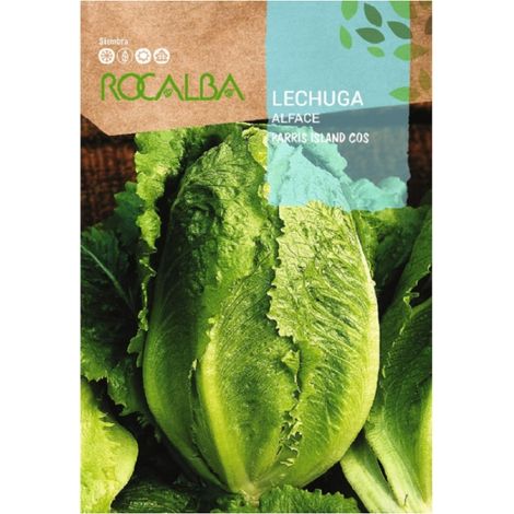 Rokalba -Samen Lechuga Parris Island cos 100g