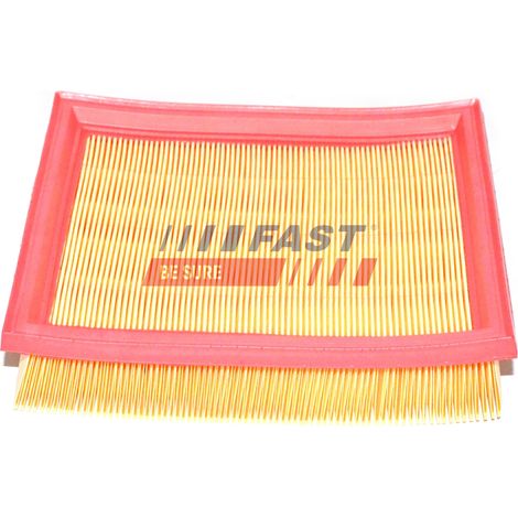Filtro aria FT37158 rapido