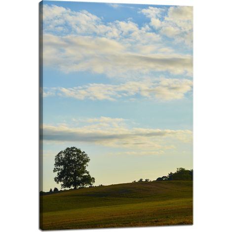 Leinwanddruck Natur Baum auf einer Wiese 40x60 cm Himmel Wiese Wolken