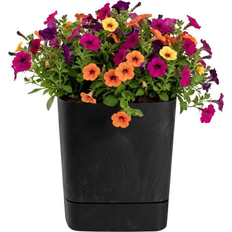 Maceta CUBI con platillo, hormig贸n negro reciclado, 30x30 cm