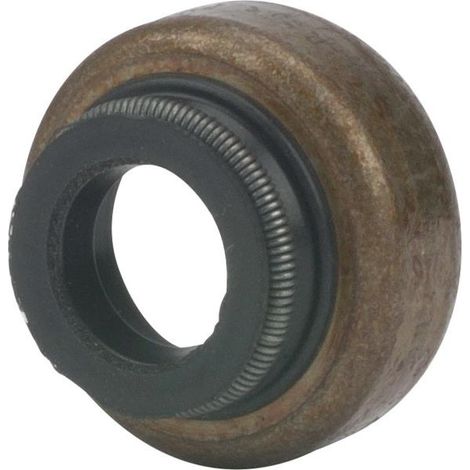 Joint queue soupape autoportée moteur Briggs & Stratton 697338