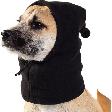 1 Bonnet pour chien, enveloppement tête, protection oreilles, matière peluche, hiver extérieur (1/5)