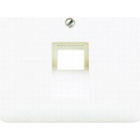 Jung Cache pour prises de raccordement IAE/UAE, 1 x 8 pôles, Thermoplast, série CD, blanc 569-1 UA (1/2)