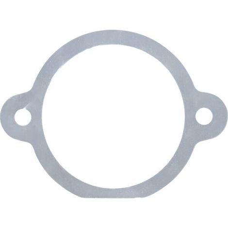 Dichtung M29100129R MASCHIO M29100129R