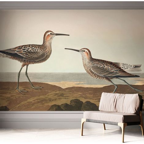Papier peint autocollant Mural avec colle pour salon et chambre Décoration murale rapide Silhouettes d'oiseaux 312x219 cm (1/5)