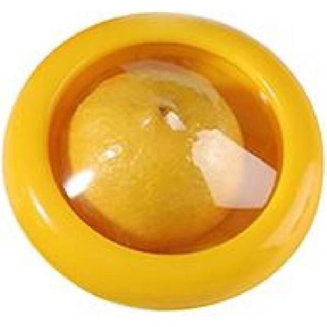 Boîte de conservation pour fruits et légumes, coupée en deux, film TPU réfrigéré pour une conservation optimale de la fraîcheur (1/5)