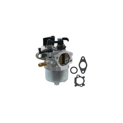 Carburetor Kit For Briggs&stratton Dov 700 750 792038 Lawn Mower Part (1/4)