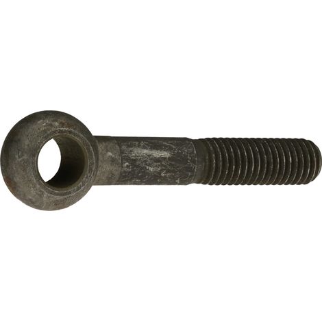 Reidl DIN 444 Augenschrauben Form B, M 30 x 150 4.6 blank, Augen-Ø 55 mm