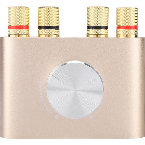 Amplificateur Stéréo Bluetooth 100W Mini Hifi avec Entrée USB et Alimentation UE (1/5)