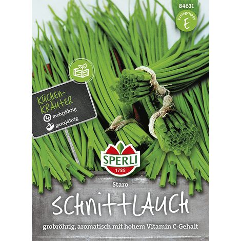 Sperli – Ciboulette Staro – Graines d'aromatiques, vivace (1/2)