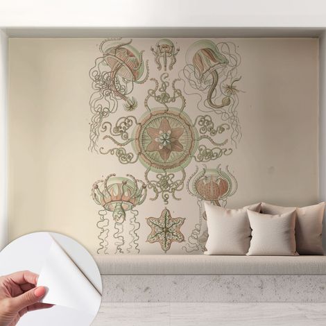 Fotomurale adesivo - parete decorativa - decorazione casa - stile moderno parete - Mondo sottomarino 208x146 cm (1/5)