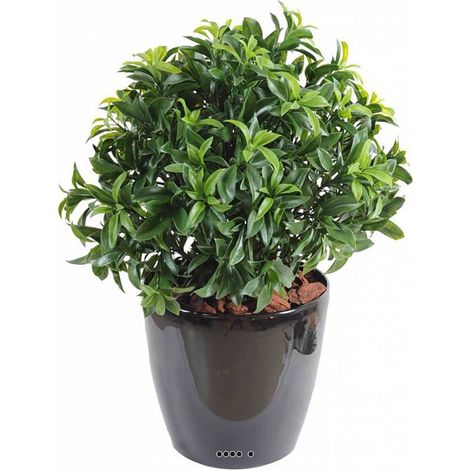 Laurier artificiel en pot buisson extérieur D 45 cm - dimhaut: H 45 cm - couleur: Vert (1/3)