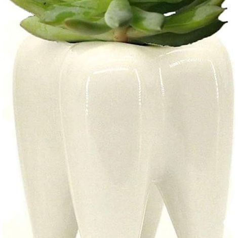 Porte-brosse à dents en céramique en forme de dent, pot pour plantes grasses, bureau à domicile (1/5)