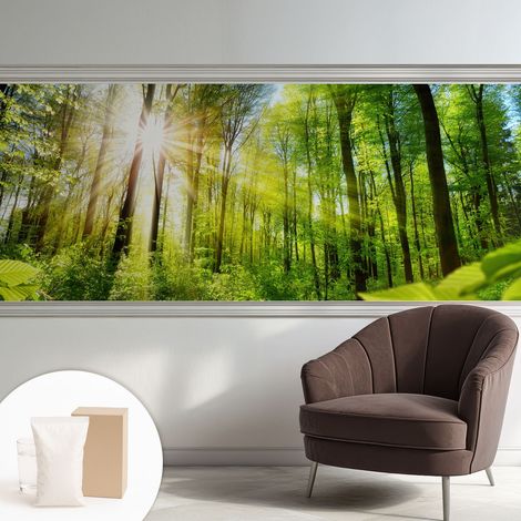 Tapete Vliestapete mit Kleber - Wanddekoration - Wandfolie - 3D Tapete Wand - Wohnungsdeko Waldlicht 250x104 cm
