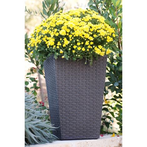 MACETERO RATAN 24 L - 29X29X44