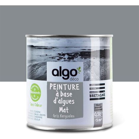 Peinture écologique Algo - Mat - Gris Kerguelen - 0.5L (1/5)