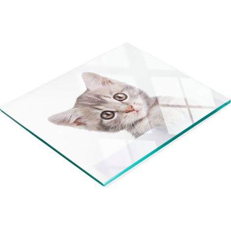 Tablero de cocina de vidrio templado con gr谩ficos decorativos de gato gris, 60x52 cm (1/5)