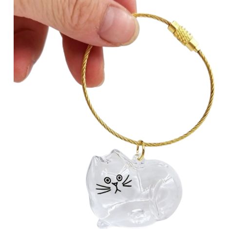Boîte de Rangement Transparente pour Poils d'Animaux Chat 01-11 : Souvenir Précieux (1/5)