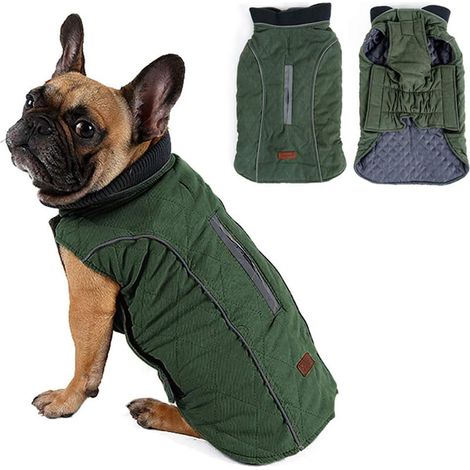 Vêtements chauds pour animaux, XXL-vert