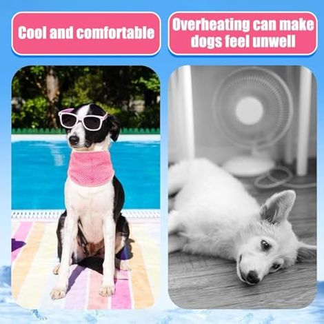 Bandana rafraîchissant pour chien, collier rafraîchissant ajustable, bandana idéal pour l'été, réutilisable pour les activités de plein air, confortable et frais, taille moyenne à grande, rose. (1/3)