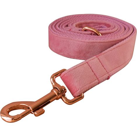 Collier Chien - Laisse Chien - Velours Doux Réglable - Boucle Dorée Robuste - Pour Chiens Moyens à Grands - Ensemble 2 Pièces (1/5)
