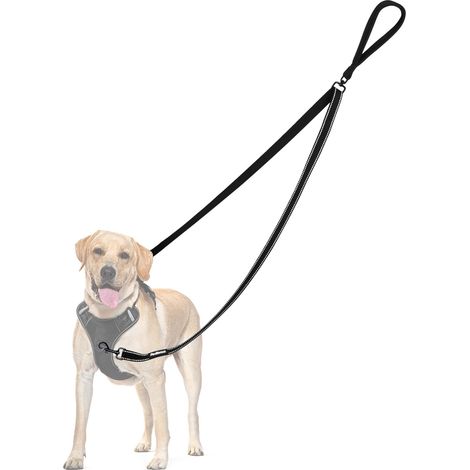 Correa antitirones para perros, correa doble de adiestramiento, apta para arneses, antitirones, antienredos, acolchada, reflectante, se convierte en una correa simple para perros medianos y grandes. (1/5)
