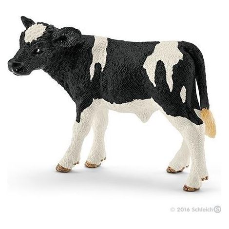 Ternero Holstein