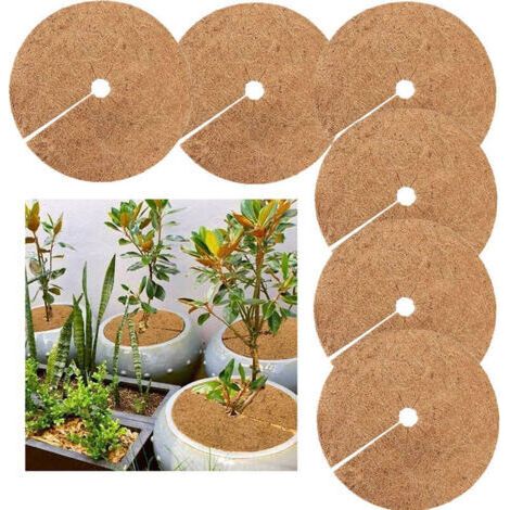 Pièces Disque de Paillage,Protection d'hiver pour Plantes en Pot,Plantes Protection Tapis,Biodégradable Tapis de Coco Plantes pour Le Jardinage,20cm (1/4)