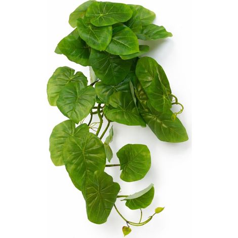 25cm Artificial Trailing Arrowhead Vine Plant (1/4)
