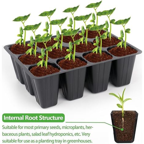 Seedling Starter Kit, Propagator, Greenhouse Grow Kit, Grow Bowls for Plants Indoor Greenhouse, Germination Bowls for (1/3)