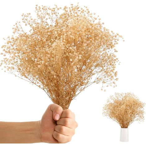 Oltre 3500 fiori di gypsophila essiccati, decorazioni floreali bianche naturali, gypsophila autentica per matrimoni, decorazioni per vasi da tavola, ghirlande e decorazioni per ufficio. (1/5)