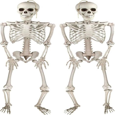 Squelette Halloween - 40 Cm - Articulé Tête et Membres - Résistant Aux Intempéries - Pour Intérieur Et Extérieur - 2 Pièces (1/5)