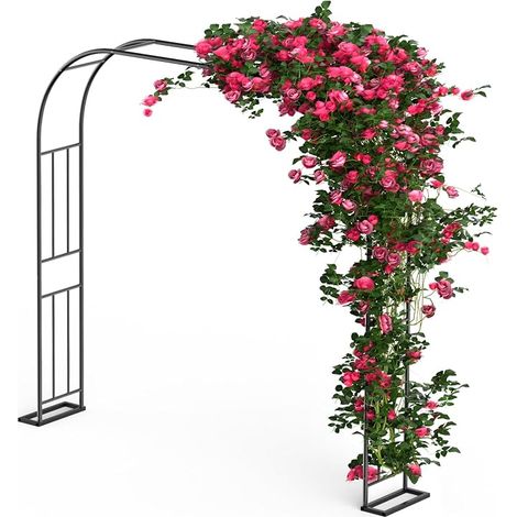 Garden Arch for Climbing Plants 240 x 240 cm Metal Rose Arch 1.2 m 1.8 m 2.4 m Three Adjustable Widths Rose Arch Vine Pergola Garden Gazebo Party Decoration (1/5)