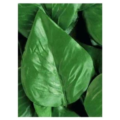 FOGLIE LAURO DI RICAMBIO PER SIEPE ARTIFICIALE -- PZ 20 -- FER 245524