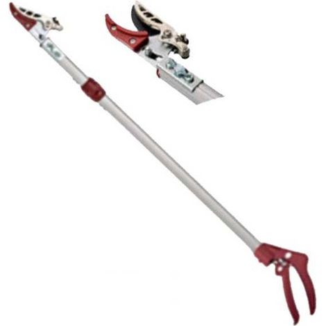 Absorbedor de Percuta Fijo 83 106 Archman