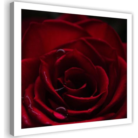 Tableau décoratif Rose rouge nature 40x40 (1/5)