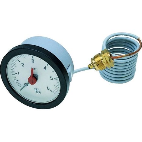 Manometro ad incasso ø 52 - Versione 1/4 " M - gas. Scala 0-6 bar 111145/N