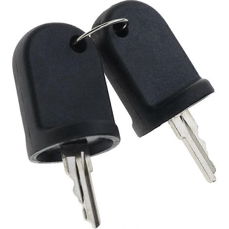 2 Zündschlüssel, kompatibel mit RXV G&E 611282 605946, Ersatzset (1/5)