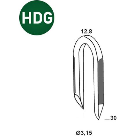 1 500 Crampillons Galvanisées à Chaud (hdg) - 12.8x30x3.15 mm - D-Work