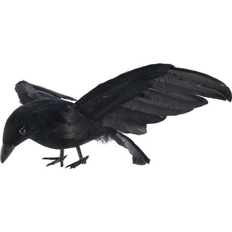 Plumes de corbeau noires, grand modèle (25 x 40 cm), ailes déployées, accessoire d'Halloween (1/5)