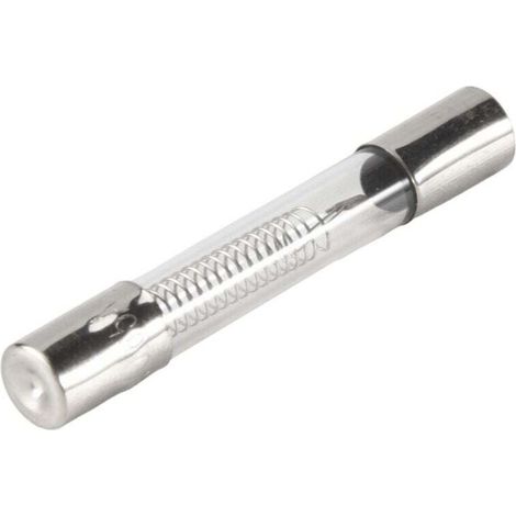 2 Fusibles Axiaux Verre 0.65A 5KV 6mm Pour Four Micro Ondes (1/4)