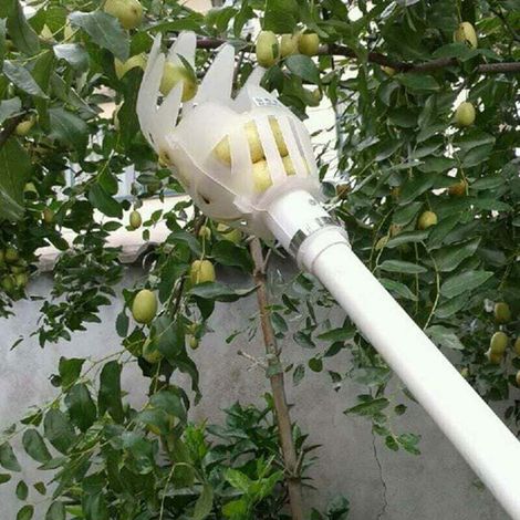 pair Tête de cueillette de fruits en plastique, panier profond, cueilleur de fruits, cueilleur de pommes et de pêches, ferme, jardin, dispositif de cueillette en plastique, République tchèque, (Blanc) (1/4)