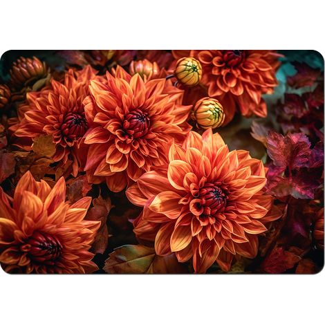 Tovaglietta rettangolare 29×42 cm, fantasia Fiona - feltro ecologico, lavabile a 40 °C, Bertoni (1/3)