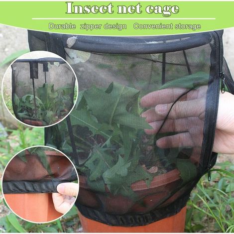 Cage de filet dinsecte Pot de fleur Cage de filet Cage dornement dinsecte Cage dombre de plante (1/5)